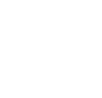 we add value we add value